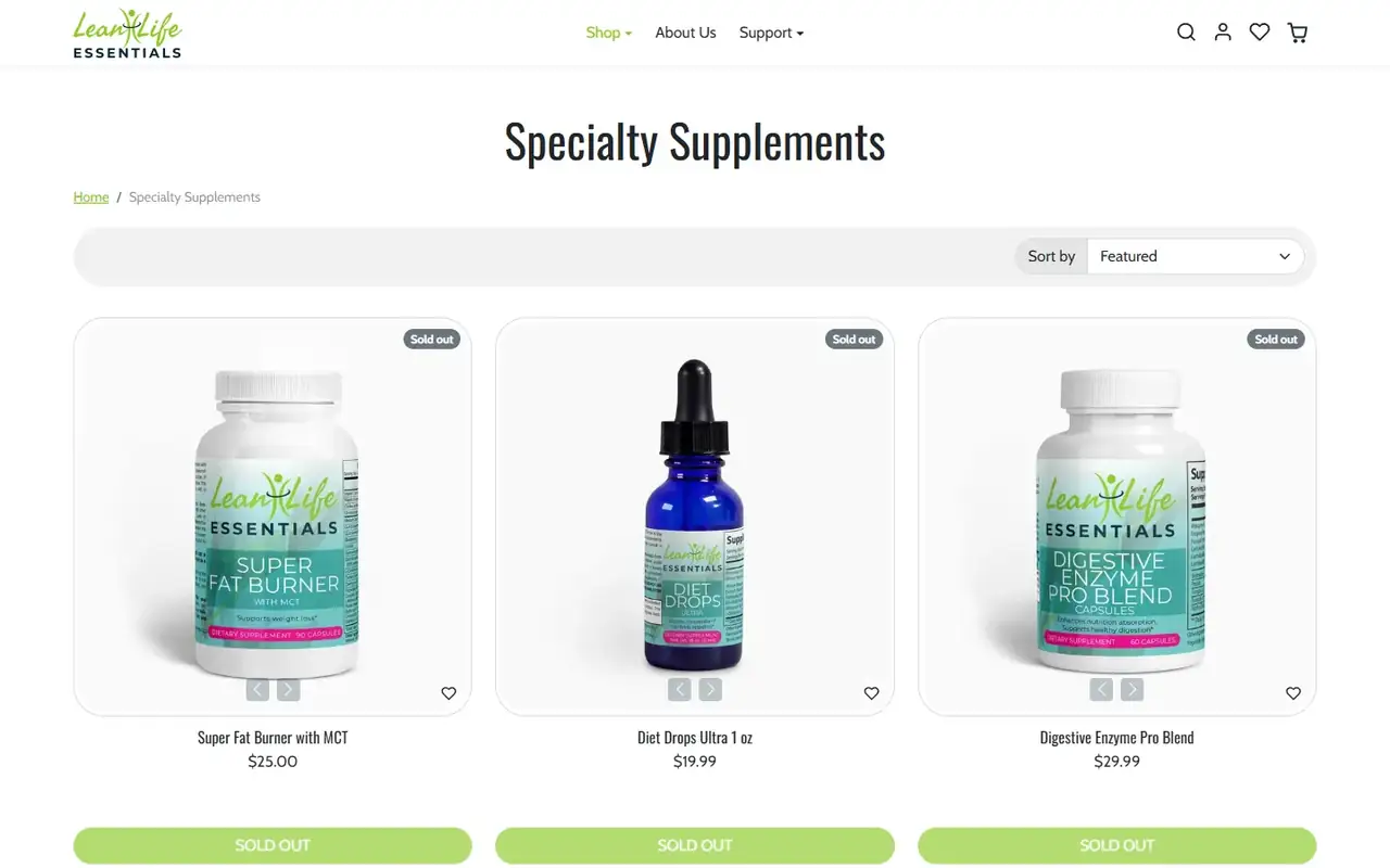 Lean Life Essentials store, page 2 on desktop